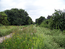 min 490 1.jpg min 490 1.jpg